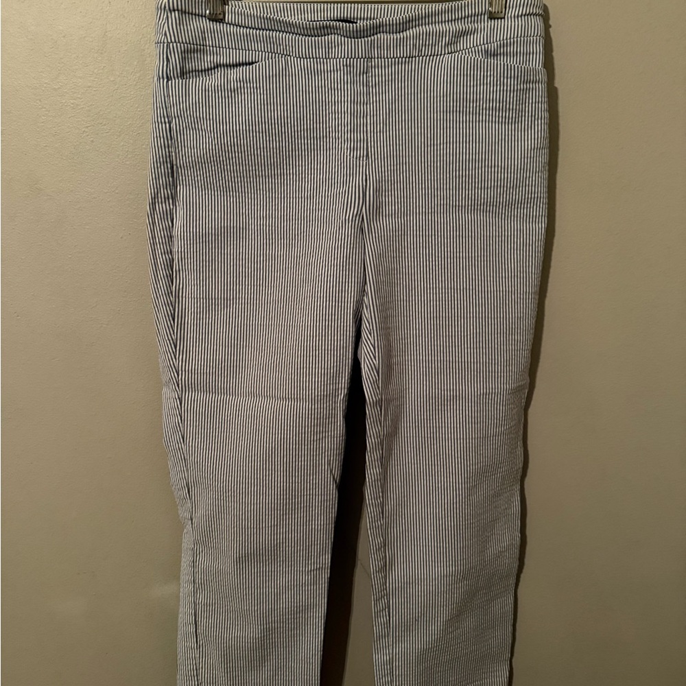 Hilary Radley Navy and White Striped Pants